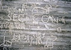 naquane roccia 99 iscrizione latina